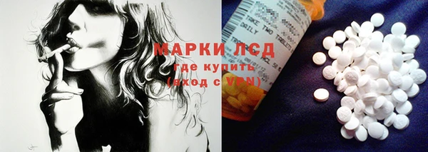 стафф Новозыбков