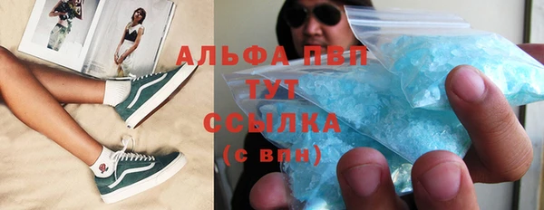 стафф Новозыбков