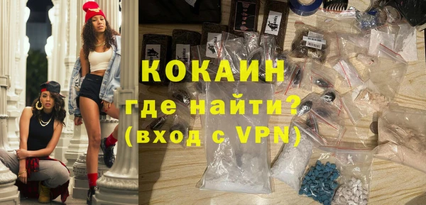 стафф Новозыбков