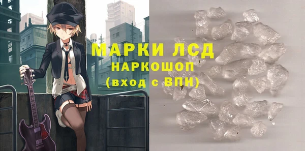стафф Новозыбков