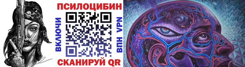 закладки  Невельск  Псилоцибиновые грибы MAGIC MUSHROOMS 